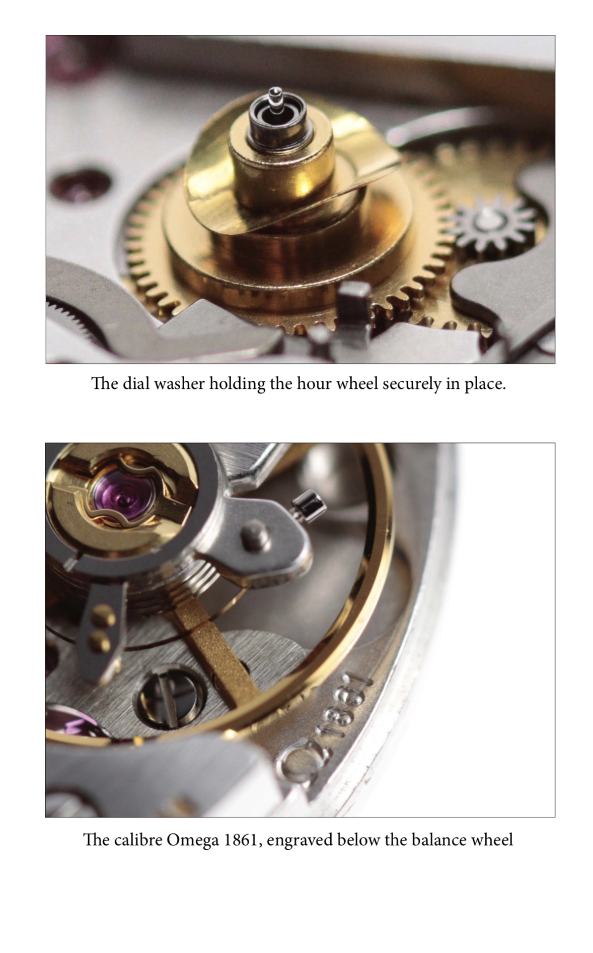 The Naked Watchmaker